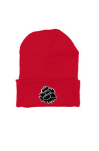 Rogue Jelly Beans Embroidered Beanie red